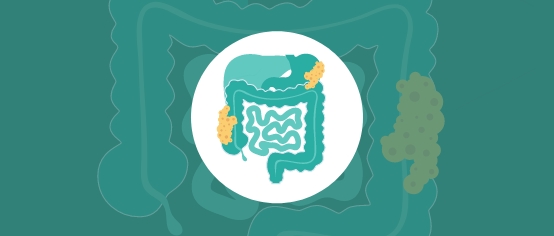 illustrated icon of the digestive system